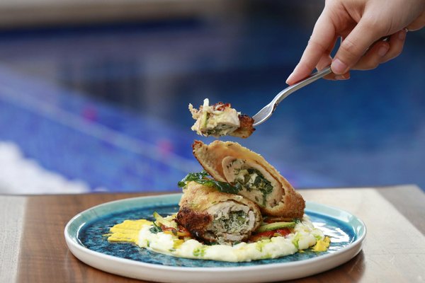 Can Dogs and Cats Be Trained to Share a Sleeping Area?