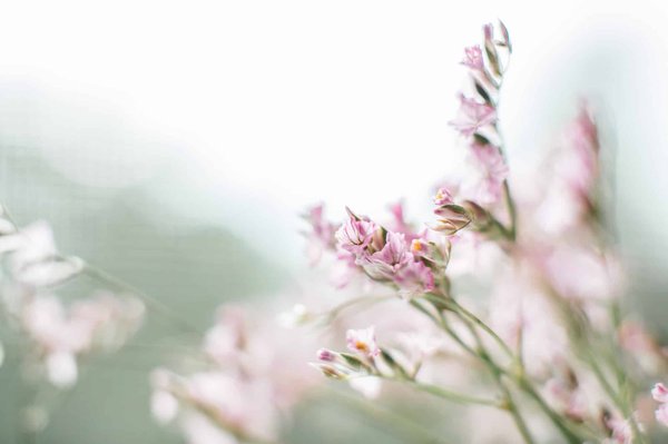 How to Master the Art of Wearing Pastel Colors for Spring without Looking Washed Out?